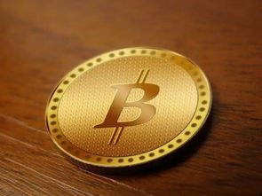 Bitcoin Mining Rig
