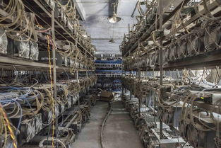 An intricate mining rig setup, highlighting the hardware essential for cryptocurrency extraction