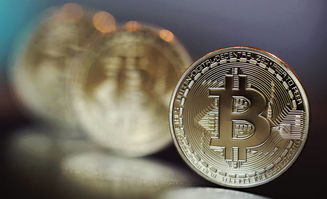 A powerful Bitcoin mining rig in action, symbolizing the core of cryptographic wealth generation