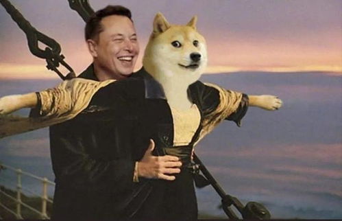 Dogecoin Mining